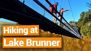 🥾 Hiking at Lake Brunner, West Coast - New Zealand's Biggest Gap Year – Backpacker Guide New Zealand