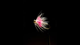 Tying the Hayden Shad Fly | Easy Step-by-Step Tutorial