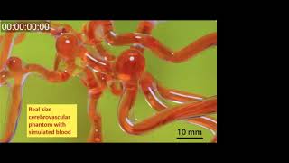 Magnetic Soft Robots: Fundamentals and Clinical Translation, by Prof. Xuanhe Zhao
