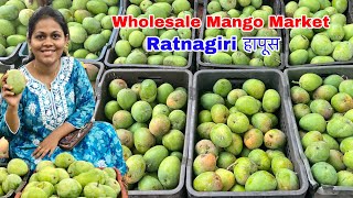 Konkan Vlog | रत्नागिरी हापूस आंबा Wholesale Mango Market | कोकणातील खेडचा आंबे बाजार | Pritis World