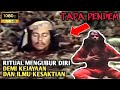 MENJADI PENDEKAR SAKTI SETELAH SETAHUN BERLATIH ILMU SILAT DI PERGURUAN SUMUR 7 || ALUR FILM LAGA