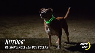 NiteDog™ Rechargeable LED Dog Collar