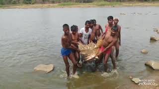 Telangana Fisheries: Yelliah Cheruvu, Singitham Village, Nizamsagar Mandal, Nizamabad District  S2H