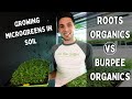 Microgreen Soil Comparison - Roots Organic vs Burpee Organic - On The Grow