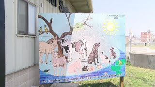 St. Joseph Animal Shelter Hosts Free Adoption Day