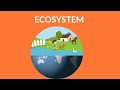 What is an ecosystem | Ecosystem video for kids | Ecosystem Types |