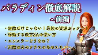 【パラディン解説動画･前編】少人数戦向けの無敵クラス、それを支える優秀なパッシブ効果の確認／大切なのは無敵以外のスキル／まずは土台部分を確認【黒い砂漠モバイル】