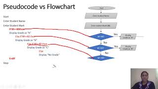 Selection Control Structure Questions and Answers -Part 2