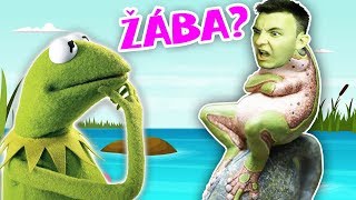 JSEM ŽÁBA?! | HouseBox