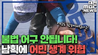 '개불' 마구잡이..\