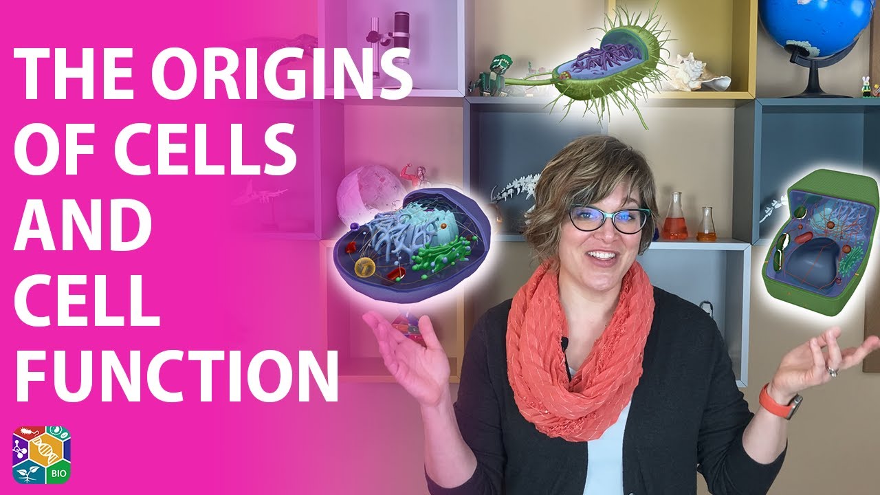 Visible Biology | Lesson 8: The Origins Of Cells And Cell Function ...