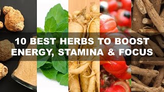 10 Best Herbs to Boost Energy, Stamina and Focus