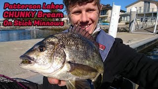 CHUNKY Patterson River Bream on Stick Minnows