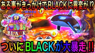 【神回】絶対に見逃しは厳禁ですよ‼️P大海物語4SP BLACK 2022年10月15日