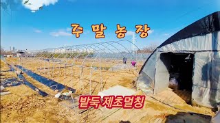 주말농장 - 밭둑 잡초방지 멀칭