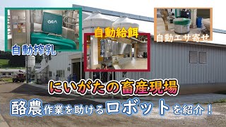 【おいしい新潟の畜産チャンネル】「にいがたの畜産現場」21世紀の酪農？！ロボット搾乳のご紹介