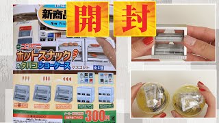 【ガチャガチャ】コンビニのホットスナックのミニチュア