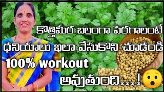 కొత్త మీరా వేసుకోవడం ఎలా 🌱🌱 || #agriculture #terracegarden