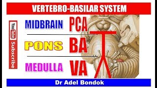 Vertebrobasilar System, Dr Adel Bondok