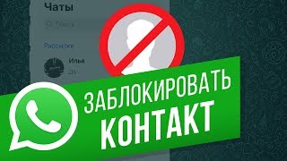 Как заблокировать пользователя в WhatsApp? Блокируем контакт и добавляем в спам в Ватсапе на iPhone