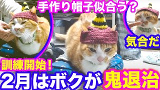 2025ｰ1−12 保護猫たちの「ほっこり猫ライブ」ハッチ＆マック＋黒猫めめ＋がんサバイバーママ Cat live Stream in Japan -Cat Life TV