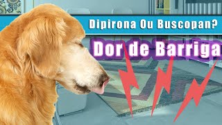 Cachorro com DOR DE BARRIGA!  DIPIRONA ou BUSCOPAN?