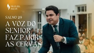 Pr. Eliel Silva | A voz do Senhor faz parir as Cervas | CONCIADEF 2024