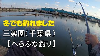 冬でも釣れました＠三楽園（千葉県）【へらぶな釣り】