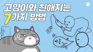 고양이와 친해지는 방법 7가지