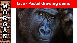 Gorilla  Pastels and Panpastels - Wildlife Art Live Stream (recording)