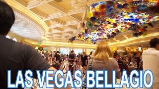 07052015 - Las Vegas Bellagio | Vlog #562