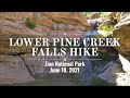 Lower Pine Creek Falls Hike, Zion National Park