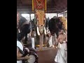 chirakal kalidasan mennad vinayakan kadambattu ganapathy @ chottanikara temple