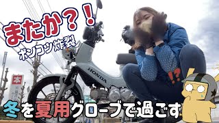 【バイク女子】メッシュグローブで冬を過ごしたバイク初心者【グローブ購入】