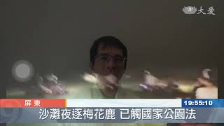 深夜逐鹿已觸法 墾管處加強查緝