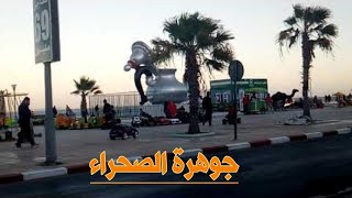 إطلالة على المحيط الأطلسي||من شبه جزيرة الداخلة 🌴☀️