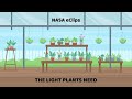 NASA eClips Best Practices: The Light Plants Need Demonstration