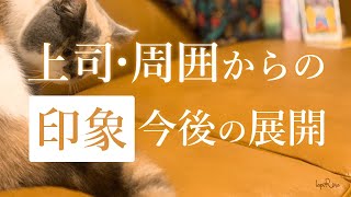 上司・周囲からの印象、今後の展開😊🌈🔮お仕事、人生リーディング！上司、同僚、部下、後輩からの印象、評価、魅力タロット＆オラクル＆ルノルマン占い