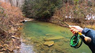 FLY FISHING for Brown Trout in SMALL CREEKS! || \