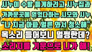 [카카오실화사연]시누이 수발 들게하려고 시누집과가까운곳에 얻었다하는 시모와 시누“나 지금 아파.얼른 와서 청소해”목소리 들어보니 멀쩡한데?웃기는 소리 그만!