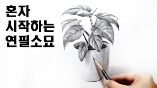 식물 잎사귀를 표현하는 방법 / 기초소묘, 연필드로잉, 그림독학 Basic pencil drawing