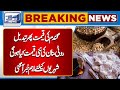 Breaking News !! Wheat Price | Flour Price Increased | Latest Update | Lahore News HD
