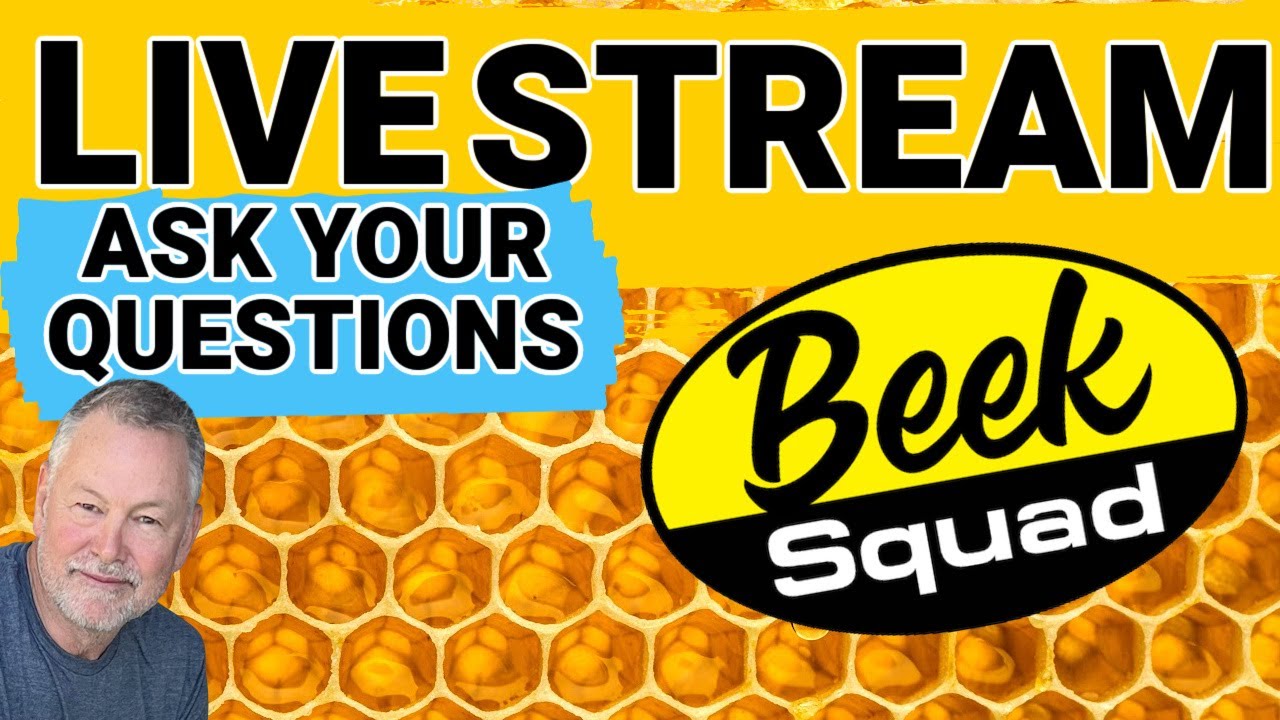 Beekeeping Livestream Questions Answers Youtube