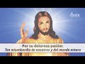 coronilla divina misericordia padre carlos yepes sábado 28 diciembre 2024 hora misericordia