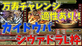 【パズドラ】10周年パワーアップ決定！万寿チャレンジの曹操を完封出来るキャラが！？