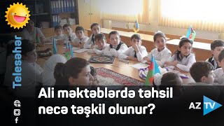 Ali məktəblərdə təhsil necə təşkil olunur?