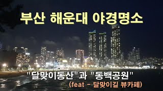 부산해운대 야경명소 - 달맞이동산과 동백공원(feat-달맞이길 \