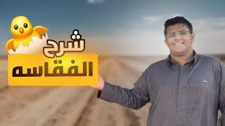 شرح بسيط للفقاسه 🐣وجمعت البيض 🥚صورت دجاجي🐓