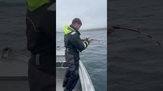 Fishing for Halibut in lofoten, Norway