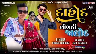 Govind Bhabhor \u0026 Amit Bhabhor New Song || દાહોદ લિબડી જાલોદ || Gujarati Timli @newstatustimli4844